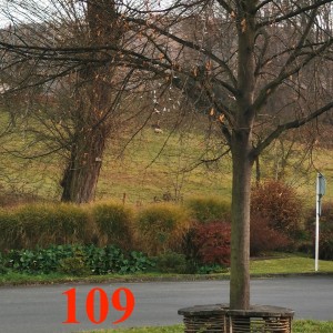 Po stopách cestovatele Lišky II - Hukvaldy a okolí