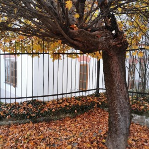 Po stopách cestovatele Lišky II - Hukvaldy a okolí