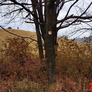 Po stopách cestovatele Lišky II - Hukvaldy a okolí