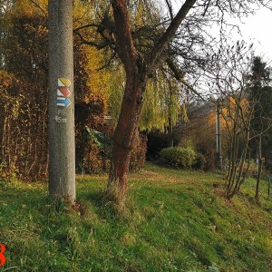 Po stopách cestovatele Lišky II - Hukvaldy a okolí