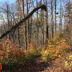 Po stopách cestovatele Lišky II - Hukvaldy a okolí