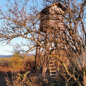 Po stopách cestovatele Lišky II - Hukvaldy a okolí