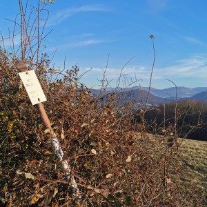 Po stopách cestovatele Lišky II - Hukvaldy a okolí