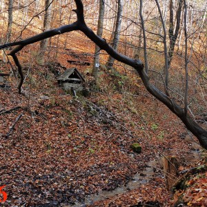 Po stopách cestovatele Lišky II - Hukvaldy a okolí
