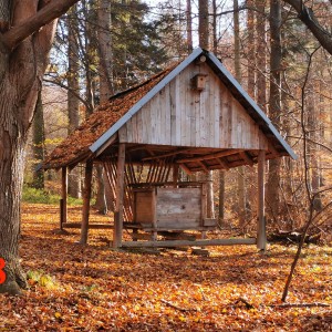 Po stopách cestovatele Lišky II - Hukvaldy a okolí