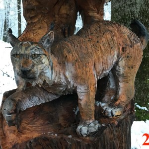 Po stopách cestovatele Lišky II - Hukvaldy a okolí