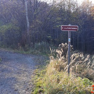 Po stopách cestovatele Lišky II - Hukvaldy a okolí