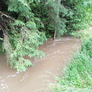 Stavěčka - den třetí