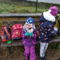 Svišti na Mohyle Míru