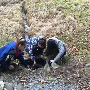 Veverčí výprava na Randulku