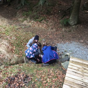 Veverčí výprava na Randulku