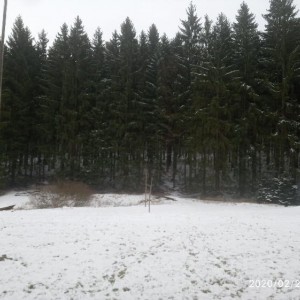 Veverčí výprava na Randulku