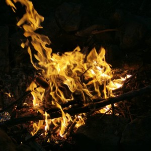 Výprava Lišek do lomu (19.9.2020)