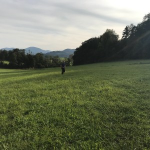 Výprava Lišek do lomu (19.9.2020)