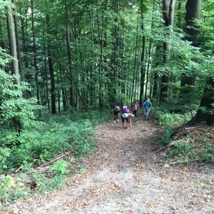 Výprava Lišek do lomu (19.9.2020)