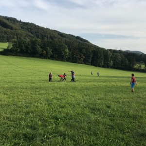 Výprava Lišek do lomu (19.9.2020)