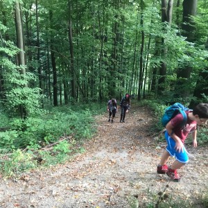 Výprava Lišek do lomu (19.9.2020)