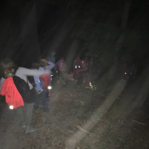 Výprava Lišek do lomu (19.9.2020)