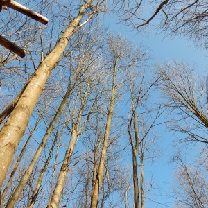 Výprava Vlků na Ponor 2018