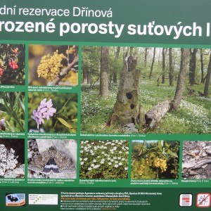 Výprava Vlků na Ponor 2018