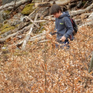 Výprava Vlků na Ponor 2018