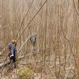 Výprava Vlků na Ponor 2018