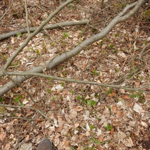 Výprava Vlků na Ponor 2018