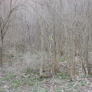 Výprava Vlků na Ponor 2018