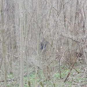 Výprava Vlků na Ponor 2018