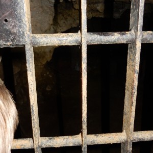 Výprava Vlků na Ponor 2018