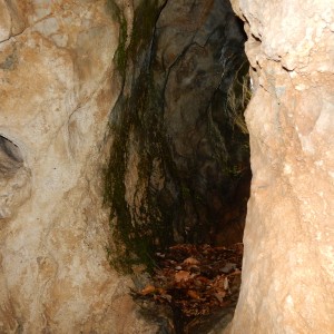 Výprava Vlků na Ponor 2018