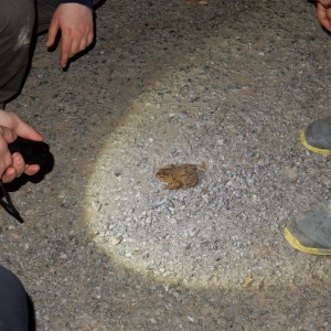 Výprava Vlků na Ponor 2018