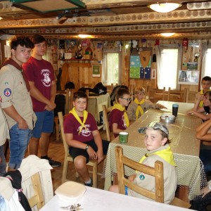 Zahajovací oddílovka