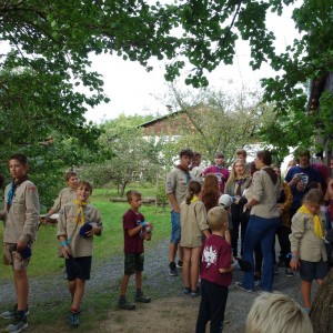 Zahajovací oddílovka
