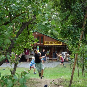 Zahajovací oddílovka