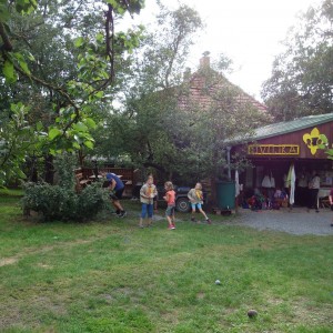 Zahajovací oddílovka