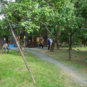 Zahajovací oddílovka