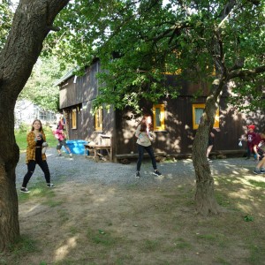 Zahajovací oddílovka