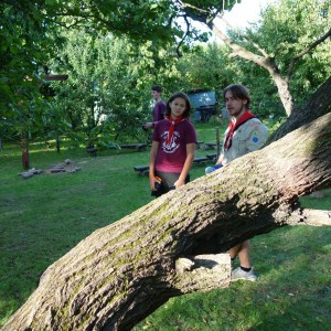 Zahajovací oddílovka