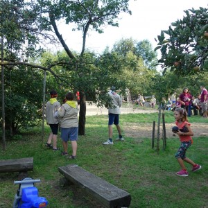 Zahajovací oddílovka