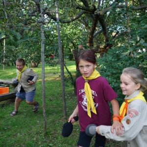 Zahajovací oddílovka