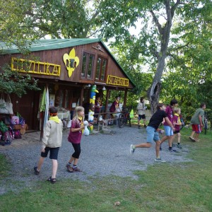 Zahajovací oddílovka