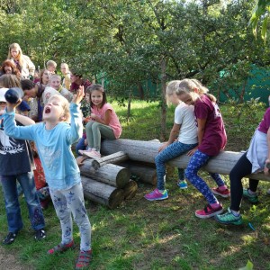 Zahajovací oddílovka