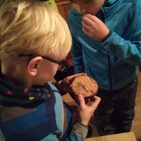 Žraločí přespání