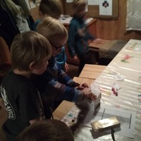 Žraločí přespání