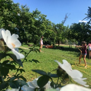 Kudlančí výprava na Stránskou