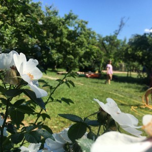 Kudlančí výprava na Stránskou