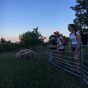 Kudlančí výprava na Stránskou