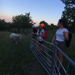 Kudlančí výprava na Stránskou