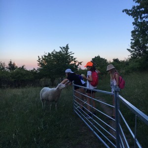 Kudlančí výprava na Stránskou